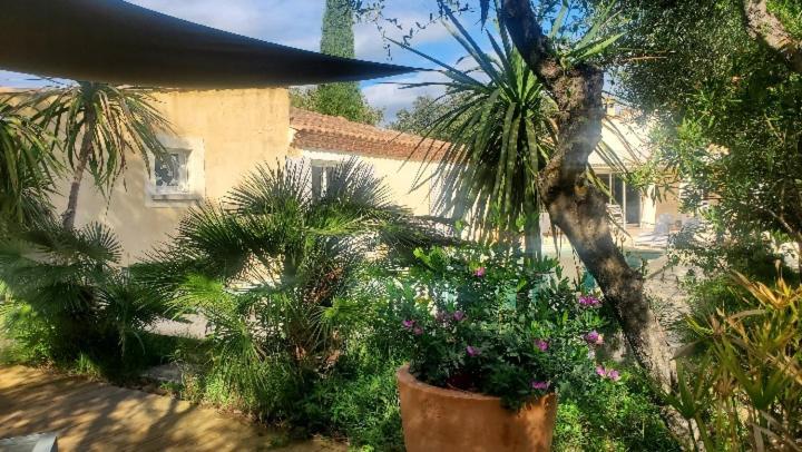 Comps  Le Clos Olives מראה חיצוני תמונה